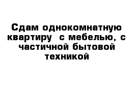 Сдам однокомнатную квартиру  с мебелью, с частичной бытовой техникой